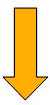 ↓